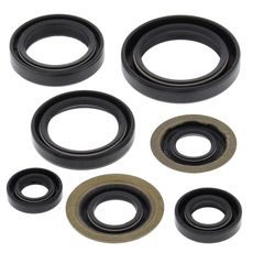 Engine Oil Seal Kit WINDEROSA 822260