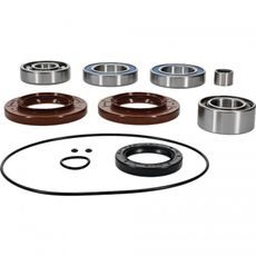 Differential Seal Only Kit All Balls Racing 25-2139-5 spredaj