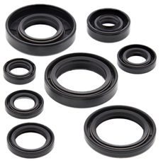 Engine Oil Seal Kit WINDEROSA 822173