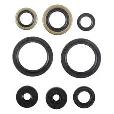 Engine Oil Seal Kit WINDEROSA 822977