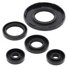 Engine Oil Seal Kit WINDEROSA 55190