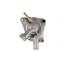 Complete water pump RMS 100110680