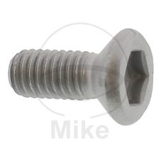 Brake disc bolt JMT M6x11