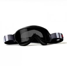 Goggles ARIETE WABI 14980-LNGB light sensitive lens Grey/White