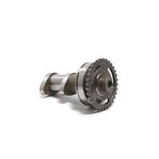 Camshaft exhaust HOT CAMS 2219-1E