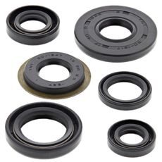 Engine Oil Seal Kit WINDEROSA 822307