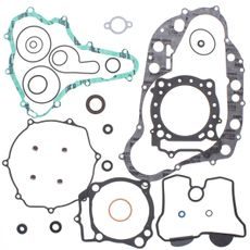 Complete Gasket Kit with Oil Seals WINDEROSA 811916