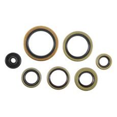 Engine Oil Seal Kit WINDEROSA 822976