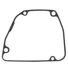 Ignition cover gasket WINDEROSA 816676