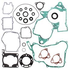 Complete Gasket Kit with Oil Seals WINDEROSA 811243