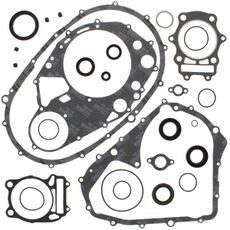 Complete Gasket Kit with Oil Seals WINDEROSA 811870