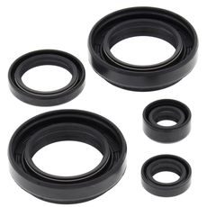 Engine Oil Seal Kit WINDEROSA 822234