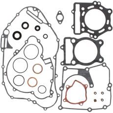 Complete Gasket Kit with Oil Seals WINDEROSA 811831
