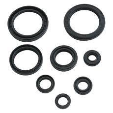 Engine Oil Seal Kit WINDEROSA 822378