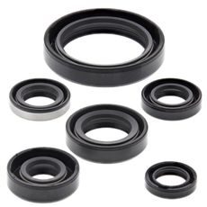 Engine Oil Seal Kit WINDEROSA 822137