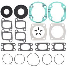 Complete Gasket Kit with Oil Seals WINDEROSA 711023A
