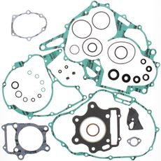 Complete Gasket Kit with Oil Seals WINDEROSA 811912