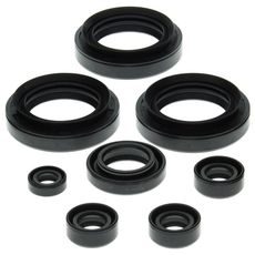 Engine Oil Seal Kit WINDEROSA 822151