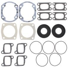 Complete Gasket Kit with Oil Seals WINDEROSA 711023C