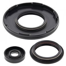 Engine Oil Seal Kit WINDEROSA 55216