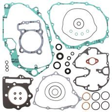 Complete Gasket Kit with Oil Seals WINDEROSA 811266