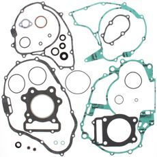 Complete Gasket Kit with Oil Seals WINDEROSA 811900