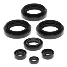 Engine Oil Seal Kit WINDEROSA 822145