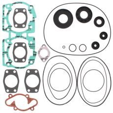 Complete Gasket Kit with Oil Seals WINDEROSA 711165D