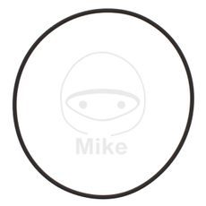 Water pump seal ATHENA M752007800004 2X78 mm