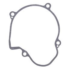 Ignition cover gasket WINDEROSA 816684