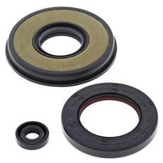Engine Oil Seal Kit WINDEROSA 55222