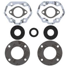 Complete Gasket Kit with Oil Seals WINDEROSA 711119A