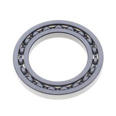 Bearing SKF MS650100110C3 16013C3