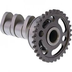 Camshaft intake HOT CAMS 4054-2IN