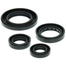 Engine Oil Seal Kit WINDEROSA 822211