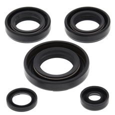Engine Oil Seal Kit WINDEROSA 822230