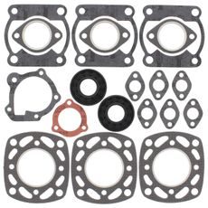 Complete Gasket Kit with Oil Seals WINDEROSA 711109A