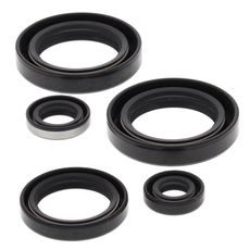 Engine Oil Seal Kit WINDEROSA 822244