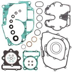 Complete Gasket Kit with Oil Seals WINDEROSA 811258