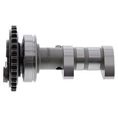 Camshaft exhaust HOT CAMS HC00081