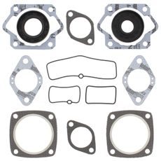 Complete Gasket Kit with Oil Seals WINDEROSA 711025X