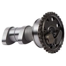 Camshaft exhaust HOT CAMS 4273-2E