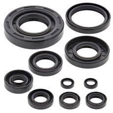 Engine Oil Seal Kit WINDEROSA 822304