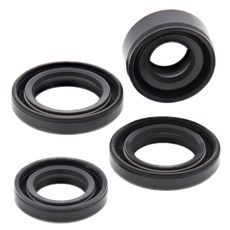 Engine Oil Seal Kit WINDEROSA 822212