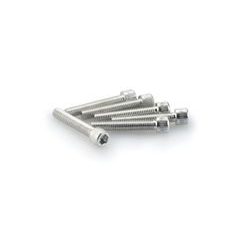 Screws PUIG ANODIZED 0346P srebrna M6 x 35mm (6pcs)