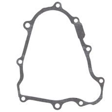 Ignition cover gasket WINDEROSA 816661