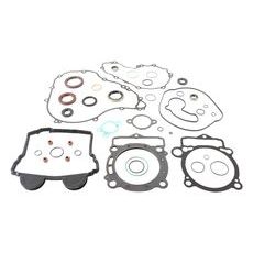 Complete Gasket Kit with Oil Seals WINDEROSA 811373