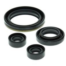 Engine Oil Seal Kit WINDEROSA 822150