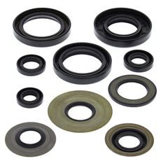 Engine Oil Seal Kit WINDEROSA 822279