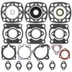 Complete Gasket Kit with Oil Seals WINDEROSA 711175